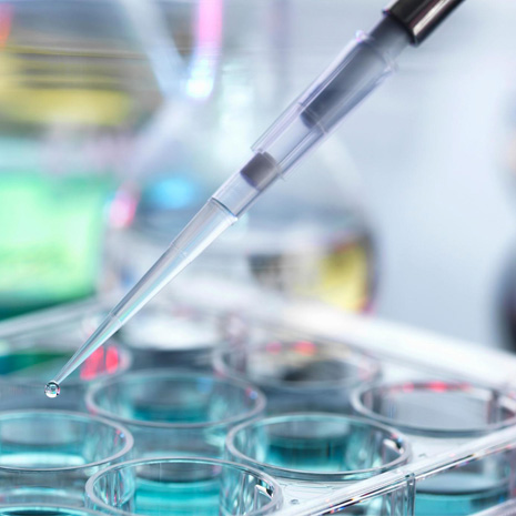 아미노산 Fermentaion 국물 설명