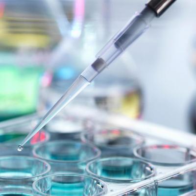 아미노산 Fermentaion 국물 설명