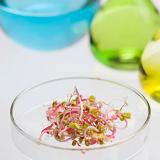 바이오 생산 설명