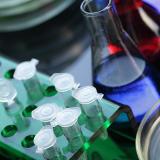 유기 산 발효 국물 설명