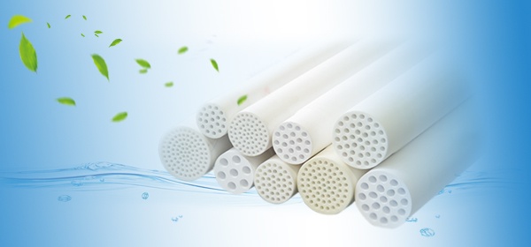 독립적 인 지적 재산권의 핵심 제품